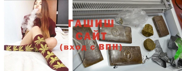 индика Белокуриха