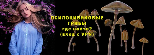 PSILOCYBIN Богородицк
