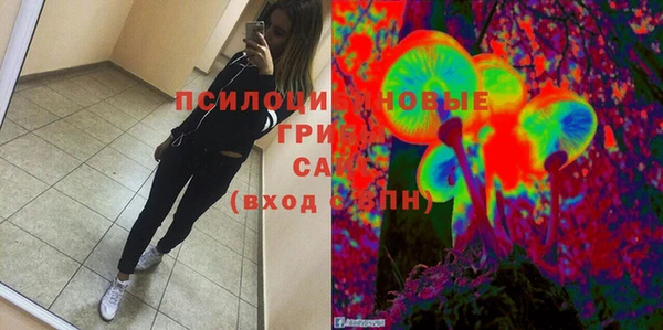 гидропоника Богородск