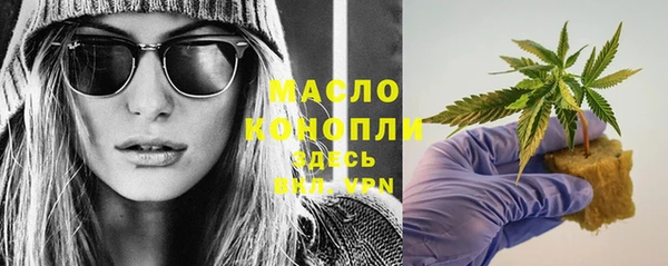 индика Белокуриха