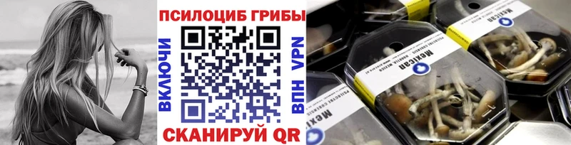 Галлюциногенные грибы ЛСД  ссылка на мегу как войти  Белый 